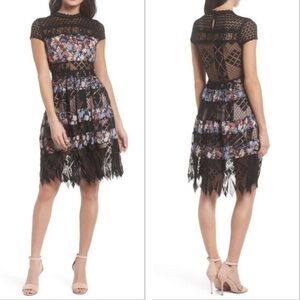 ✨Foxiedox Adriana Lace Panel Dress - Anthropologie